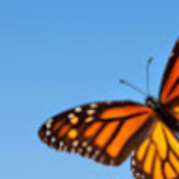 Meet your Posher, Sarah - Picture 1 of 1